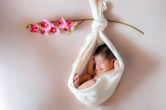 Newborn Photography Bangalore